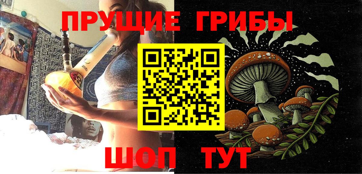 Псилоцибиновые грибы прущие грибы  Псилоцибиновые грибы Cubensis  Вход с VPN  Магнитогорск 